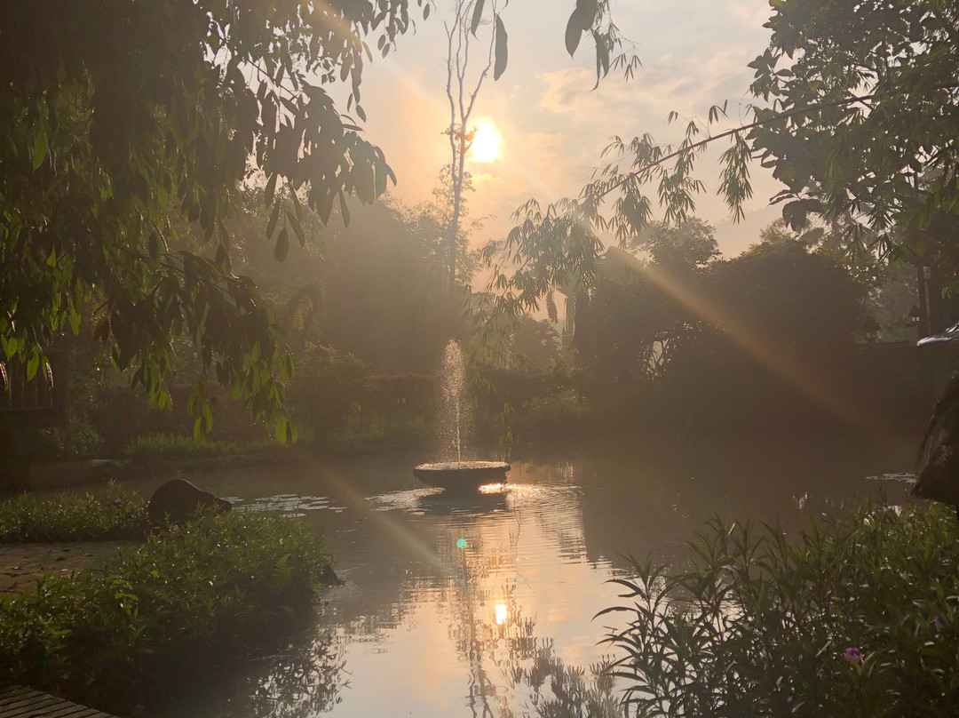 Danau Daun Chalets主图