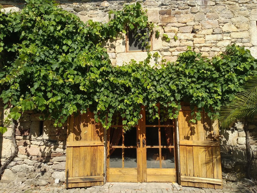 A Lagosta Perdida主图