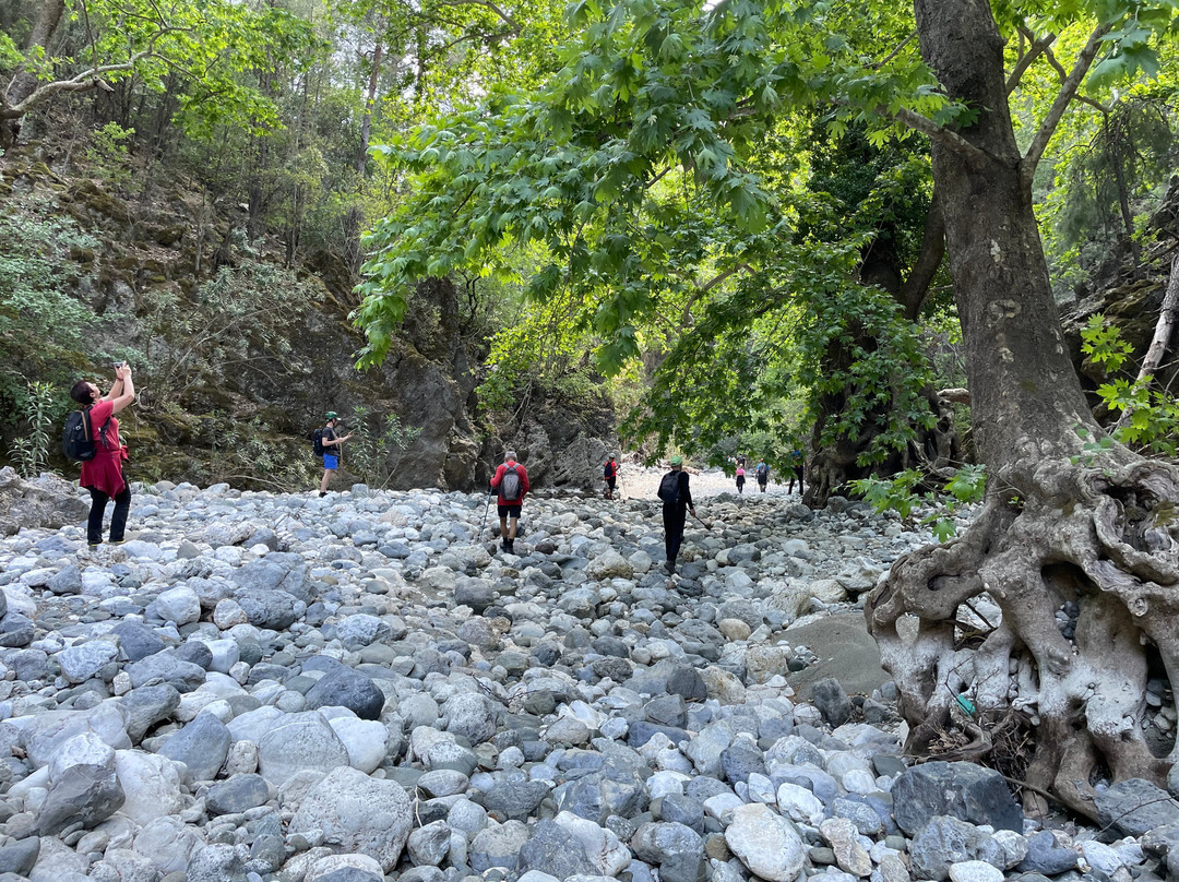 Geyik Kanyonu景点图片