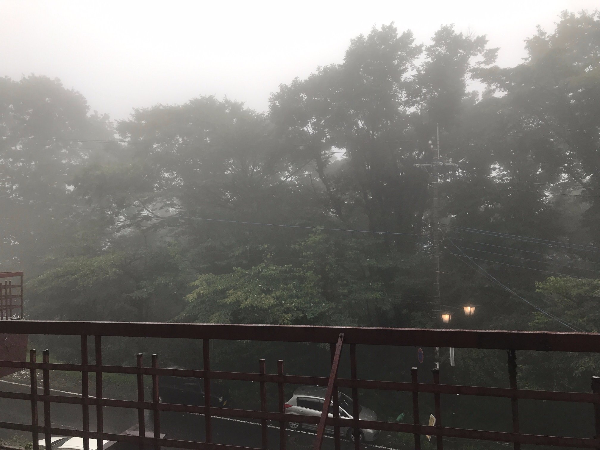 Sanyo Hotel-酒店景观