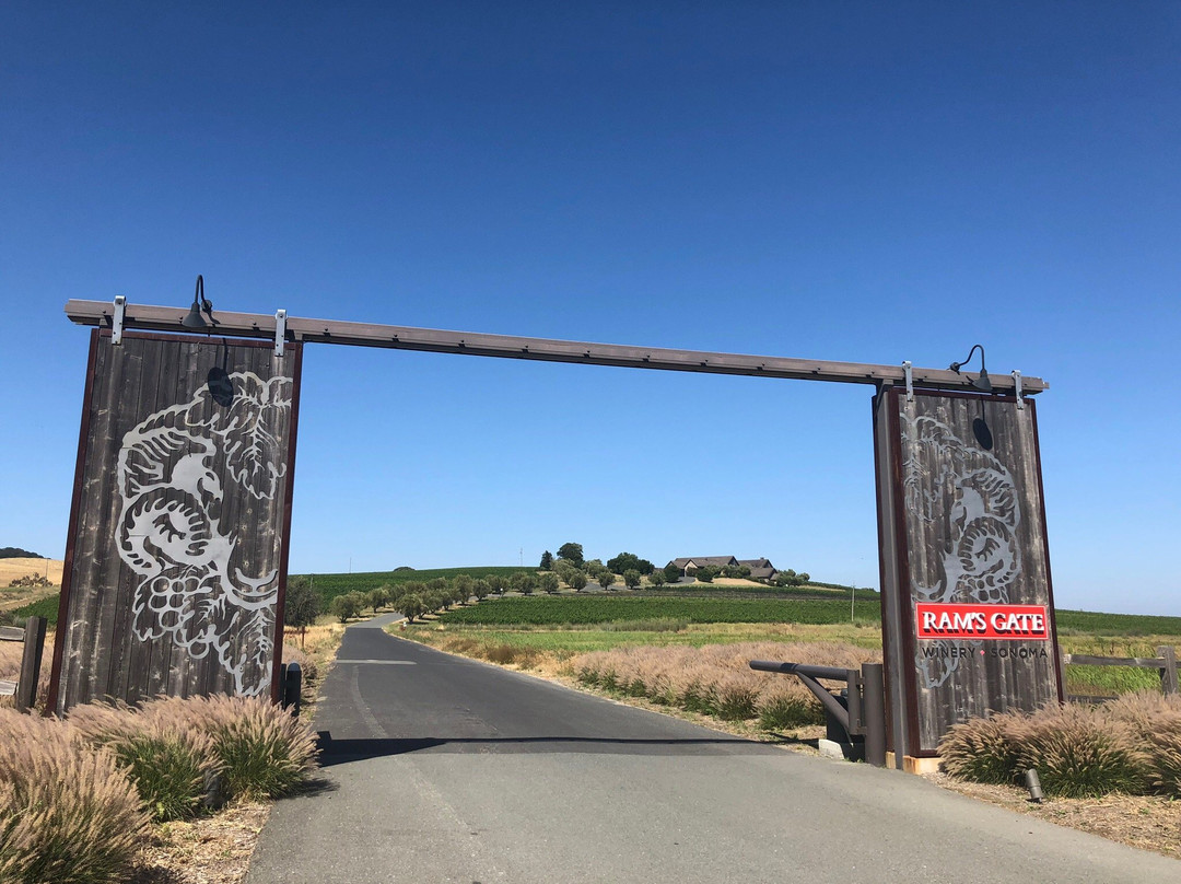 Ram's Gate Winery景点图片