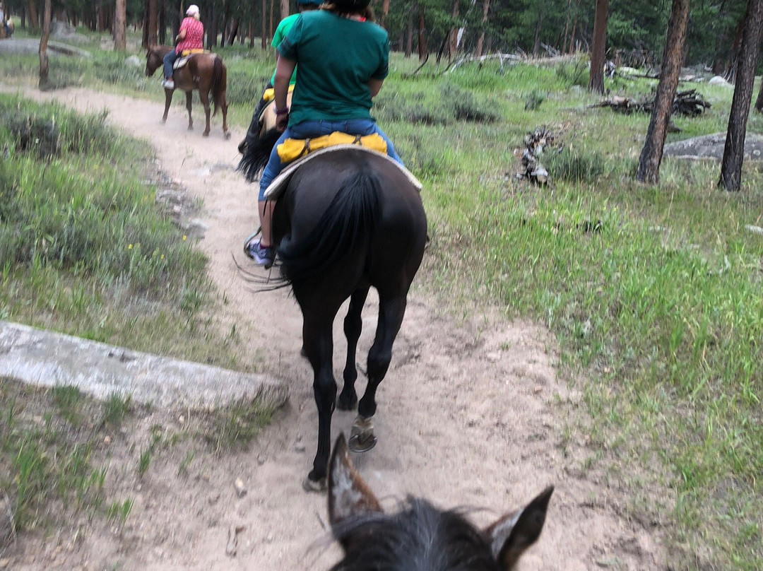 Jackson Stables-埃斯蒂斯公园必去景点