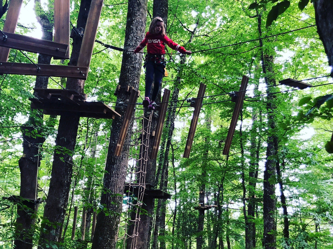 Parc Aventure De Fontdouce景点图片