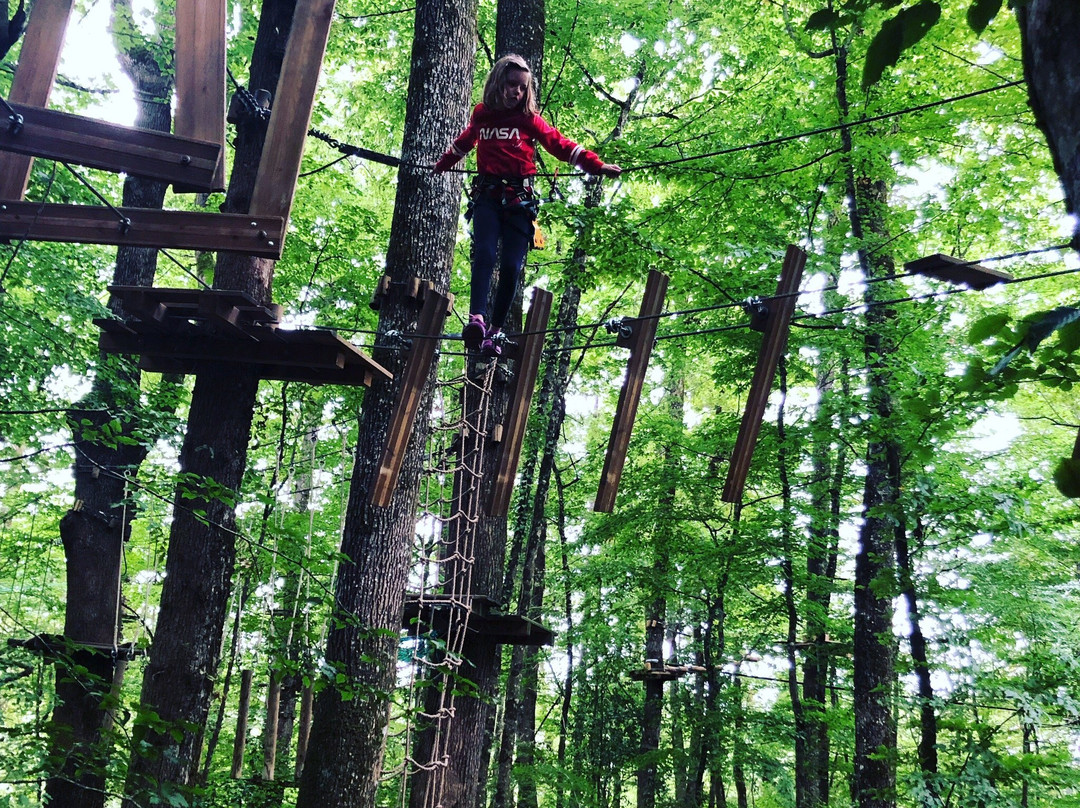 Parc Aventure de Fontdouce景点图片