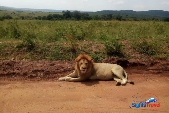 SIGHTS TRAVEL AND TOURS-纳罗克必去景点