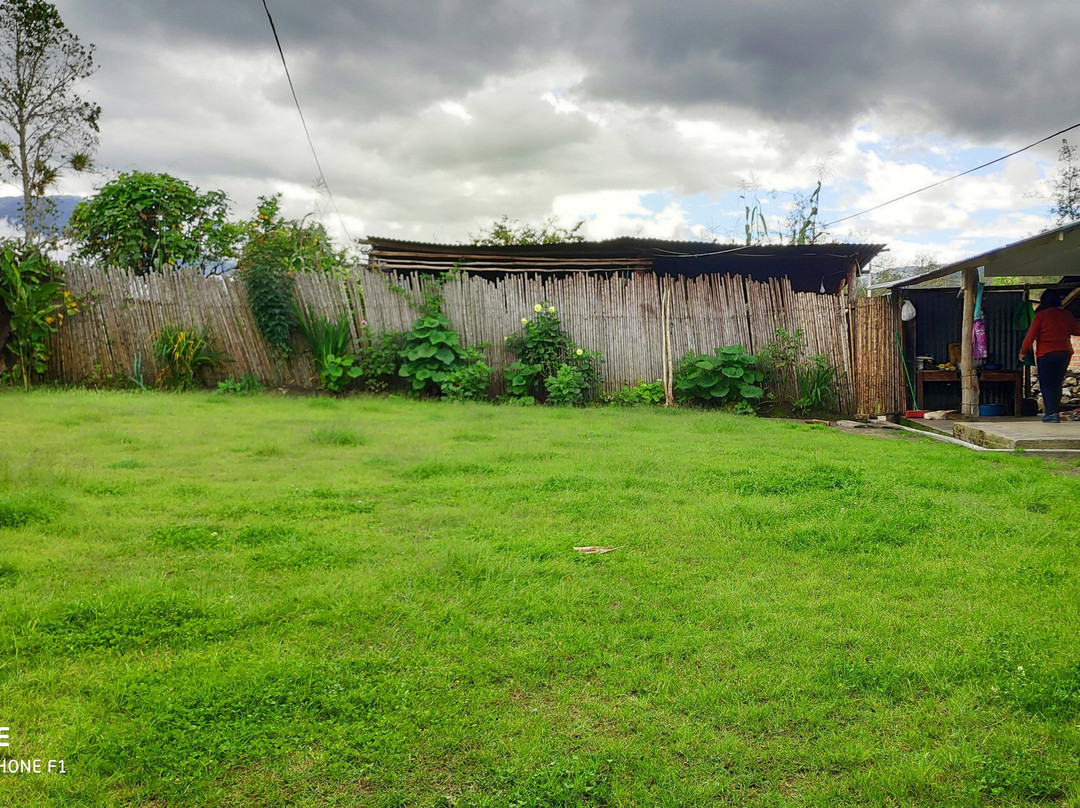 Hospedaje Pension Las Orquideas De Yumbilla主图