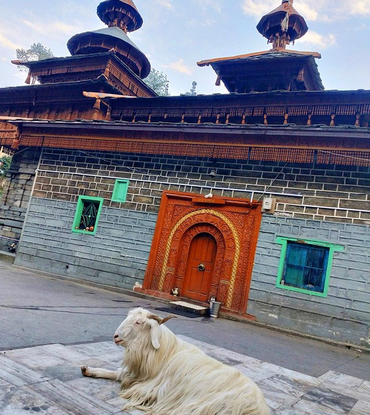 Mahasu Devta Temple景点图片