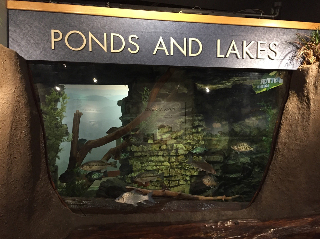 Runge Conservation Nature Center-杰佛逊市必去景点