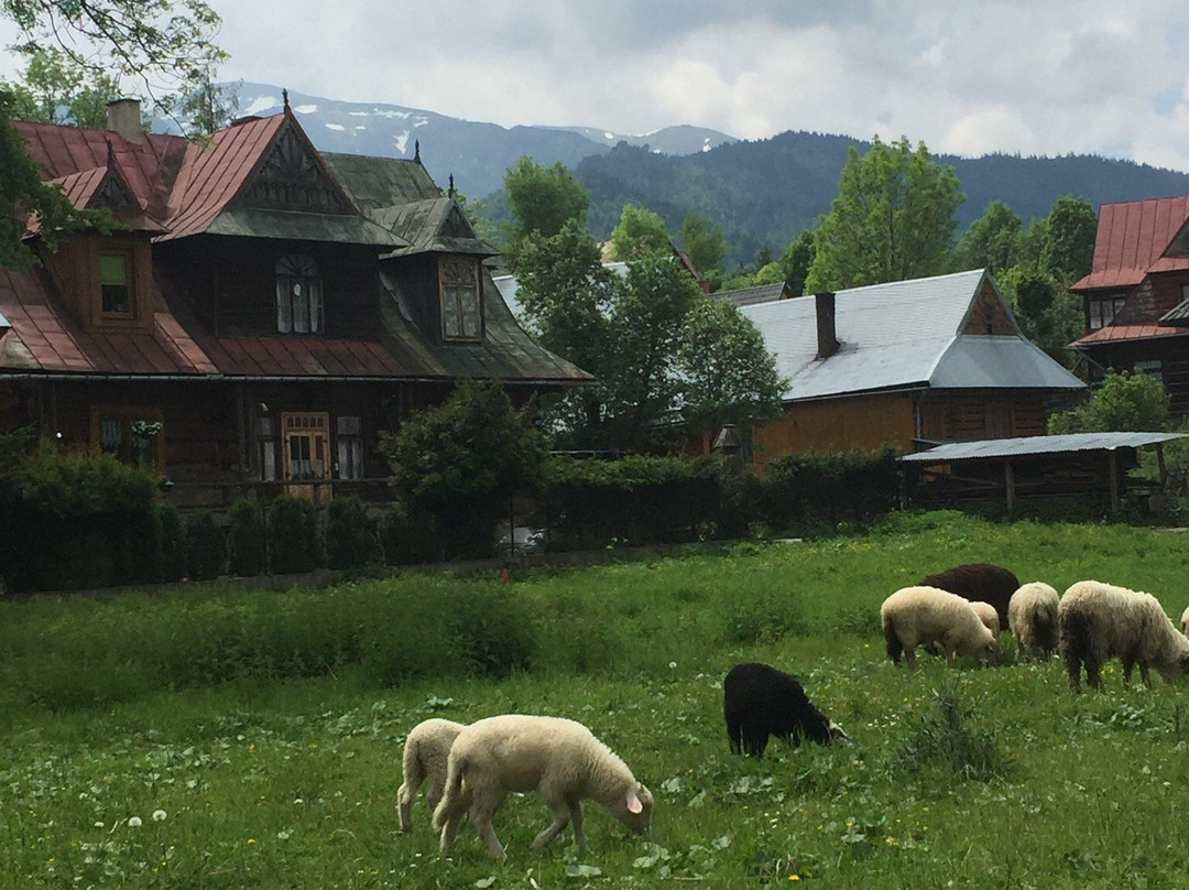 SlowTravel.pl - private day tours景点图片