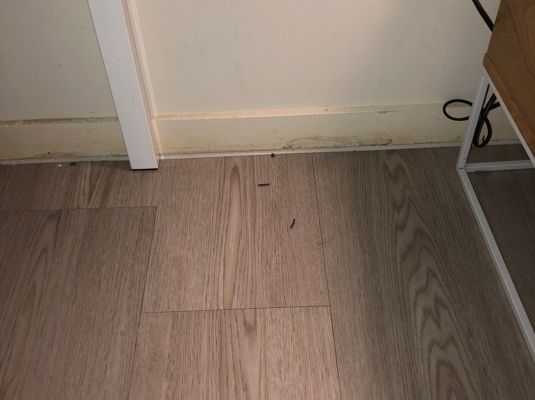 努萨海兹汽车旅馆主图