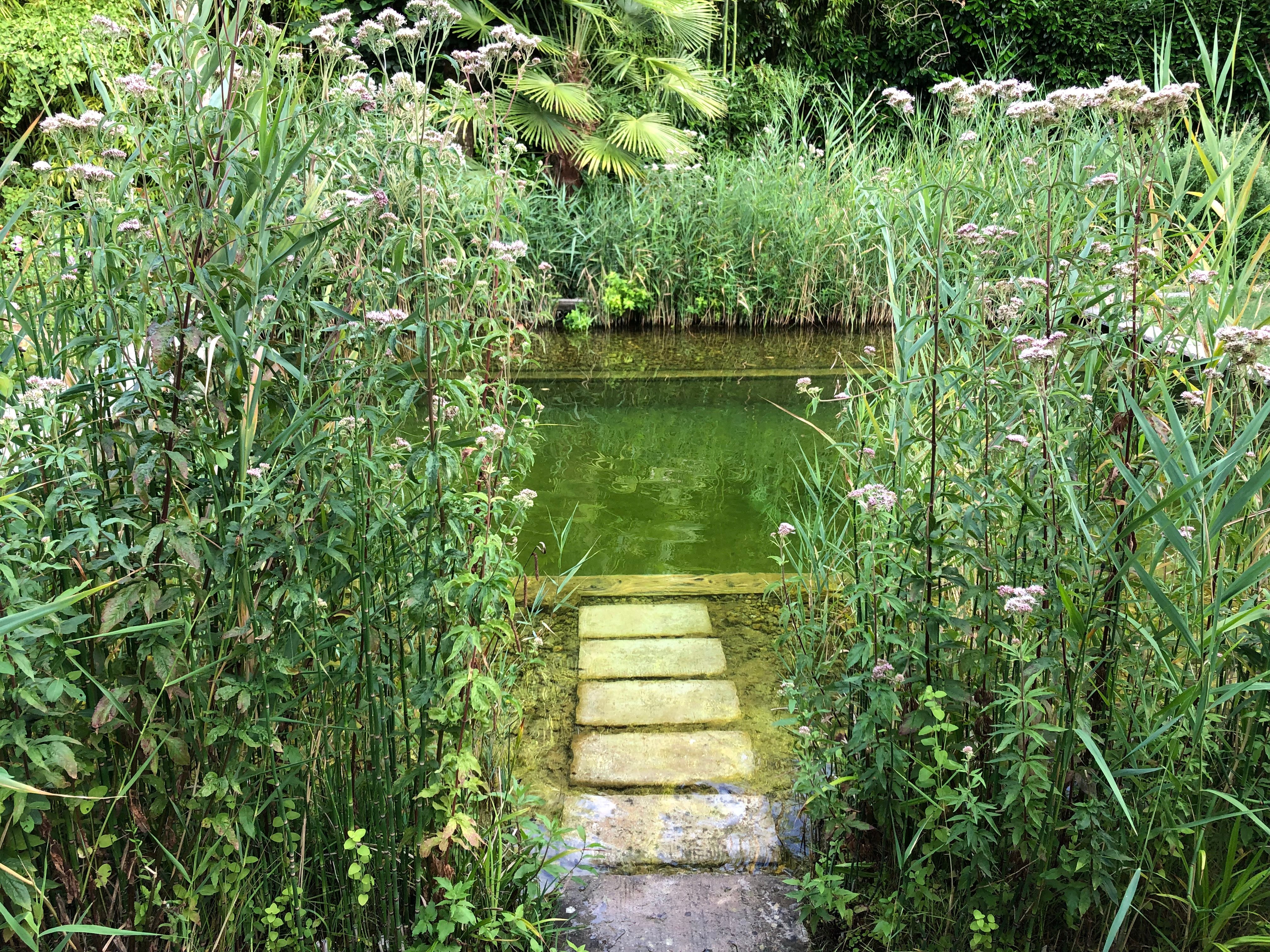 Jardin de CANAAN-泳池