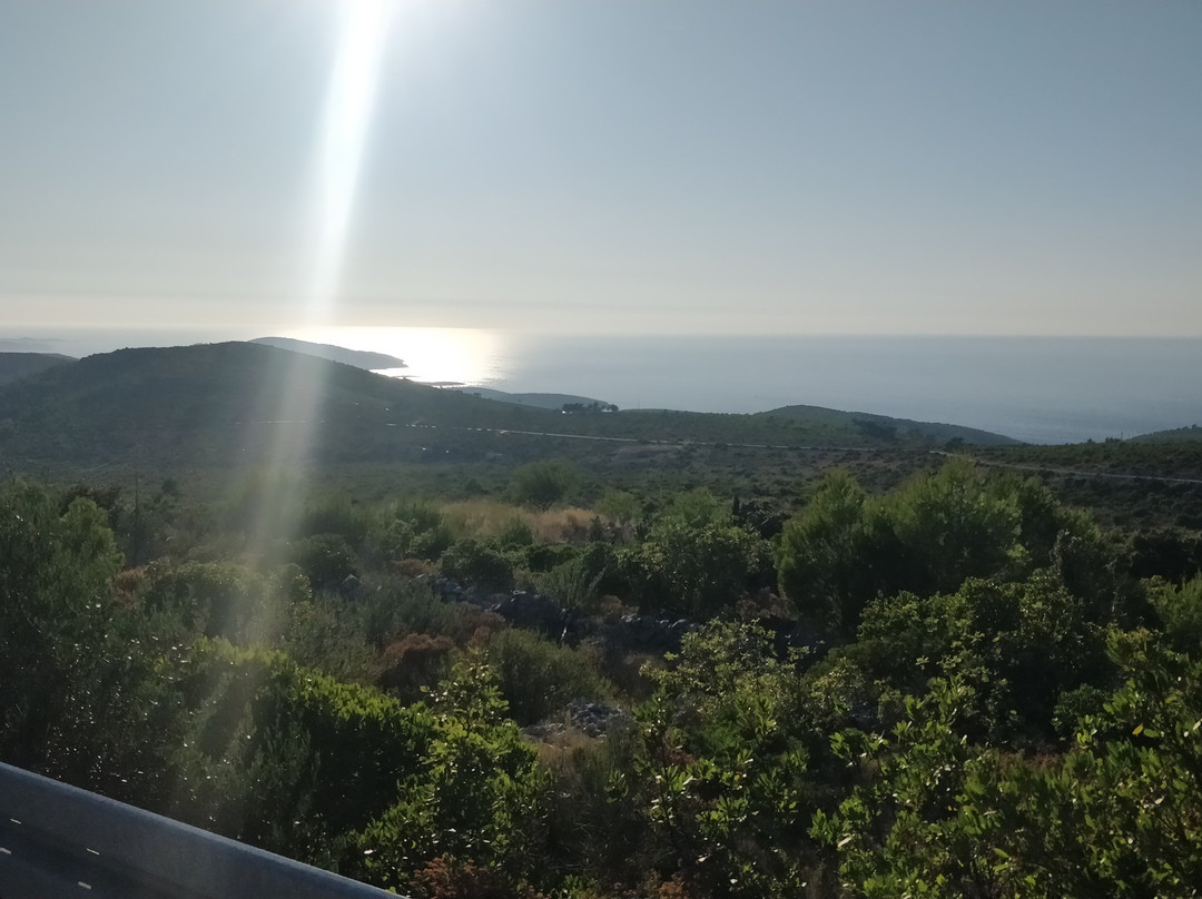 Real Hvar - Rental Agency景点图片