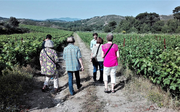 RhodeTrip-罗德城必去景点