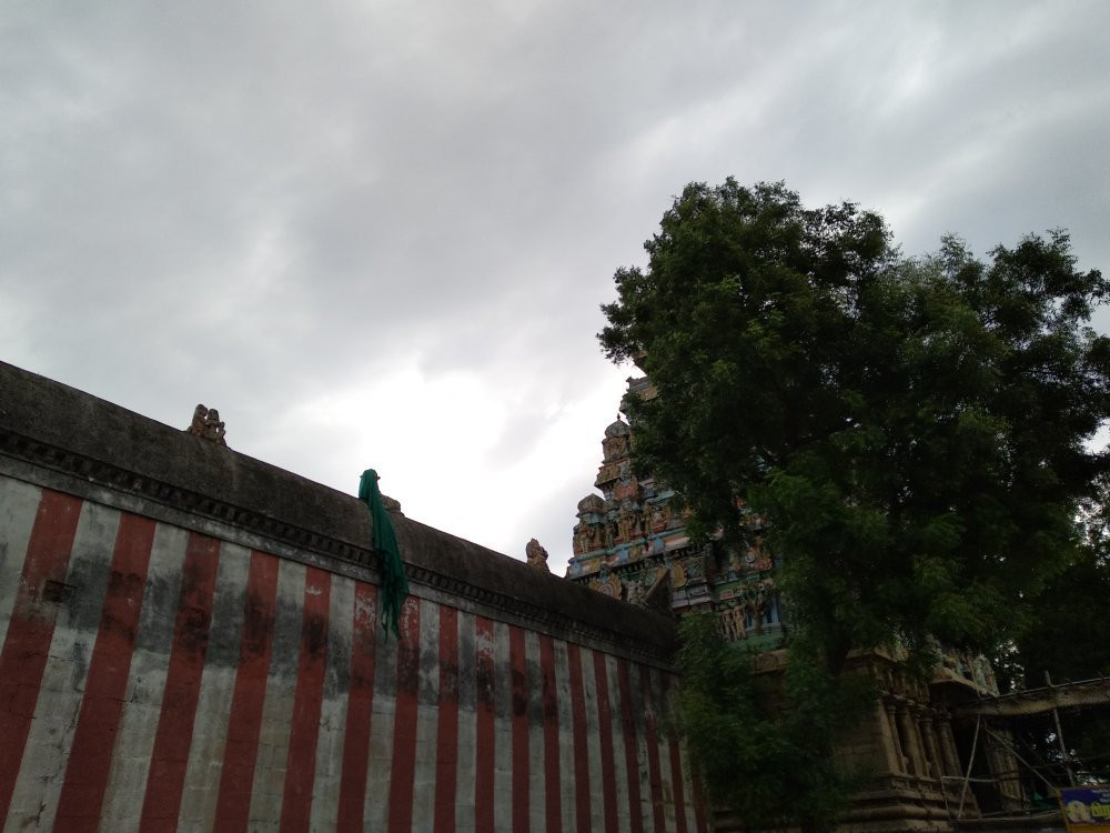 Arulmigu Naganathaswamy Rahu Temple Thirunageswaram景点图片