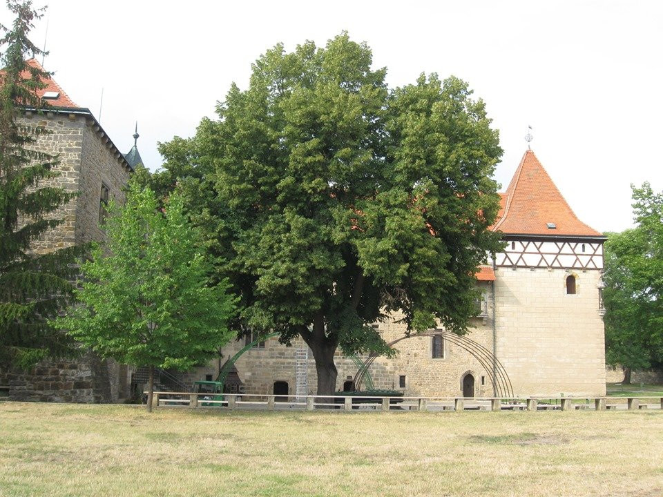 Vodni Hrad Budyne a Jandovo Museum景点图片