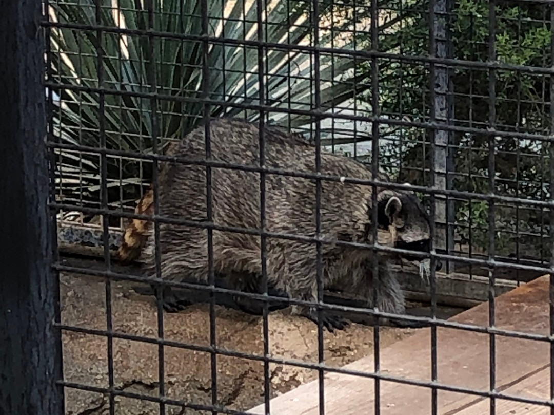 Forever Wild Exotic Animal Sanctuary-Phelan必去景点