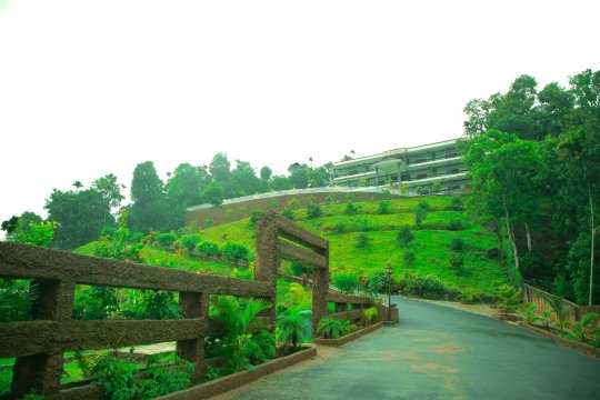 佩里亚尔山宫殿酒店-官方