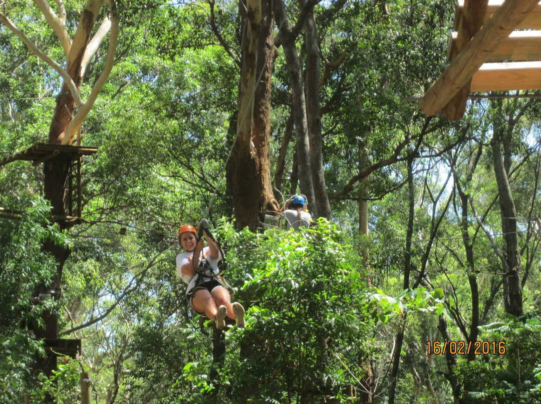 Treetop Challenge-可伦宾必去景点