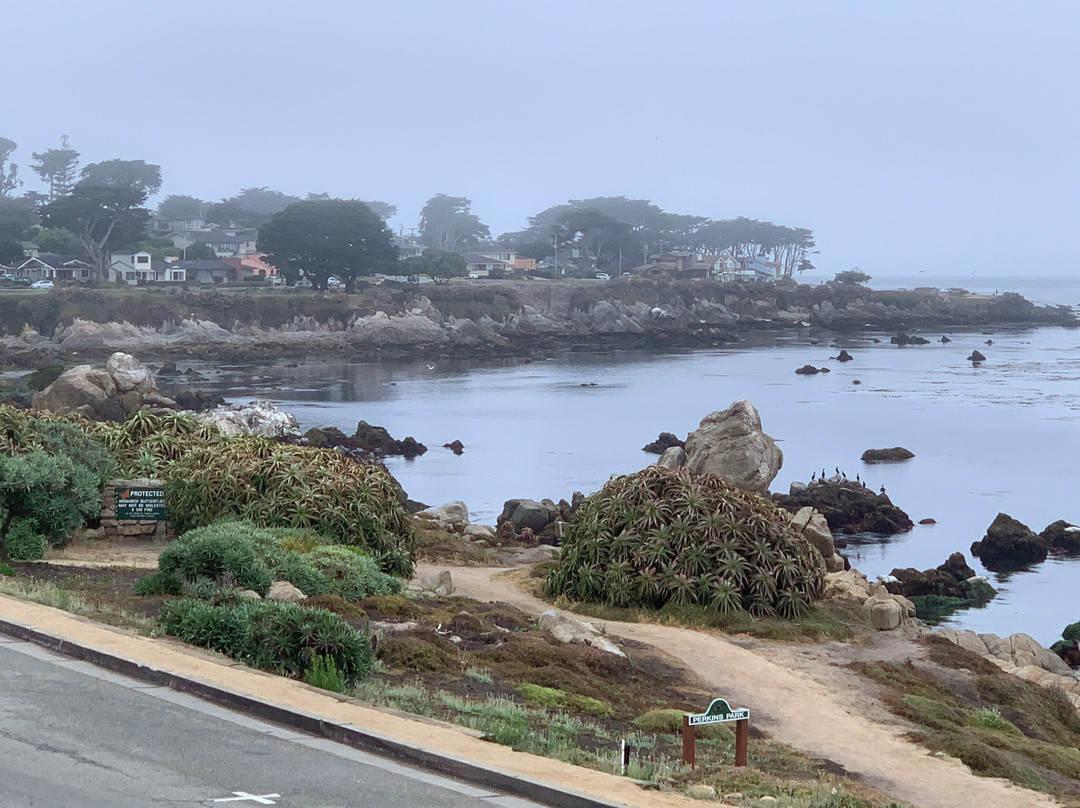 Borg's Ocean Front Motel主图