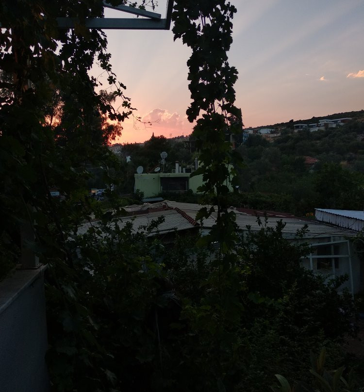 Patara Golden Pension主图