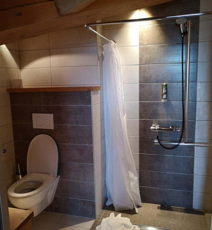 Hotel Relais du Petit St Bernard主图