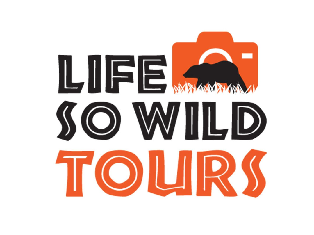 Life So Wild Tours-杰克逊必去景点