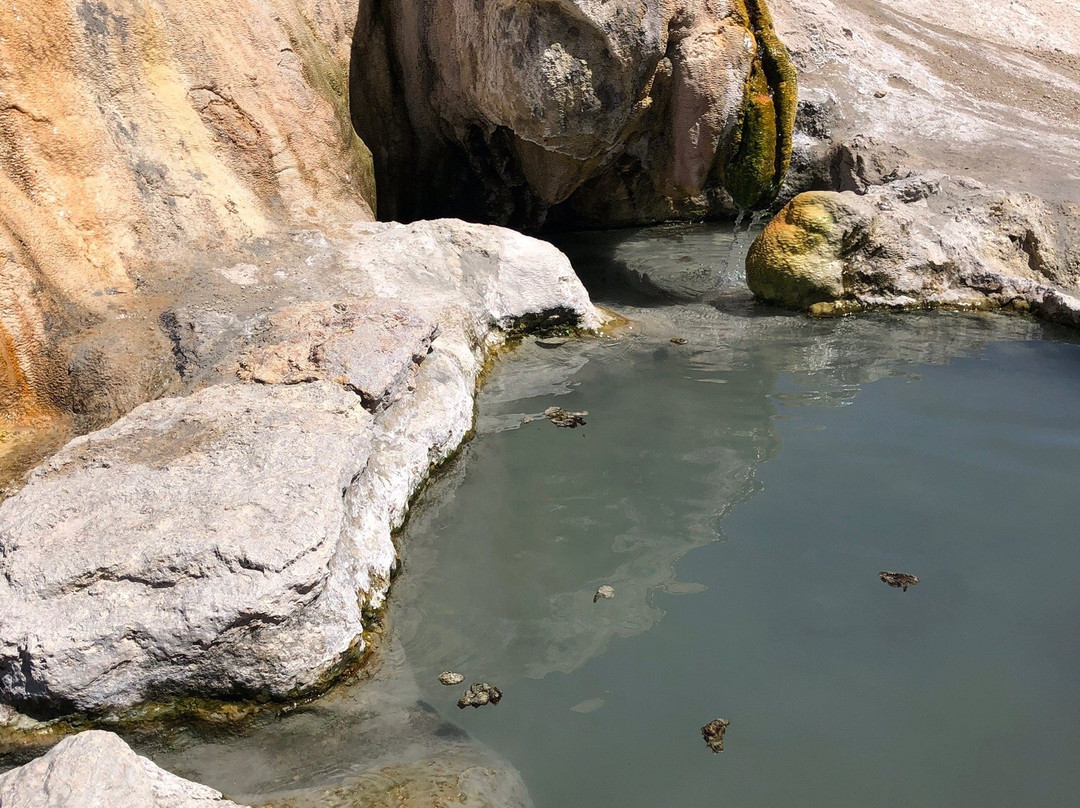 Walker River Lodge主图