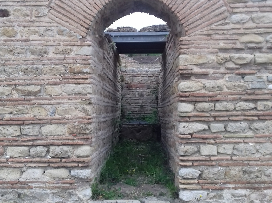 Parco Archeologico di Elea - Velia景点图片
