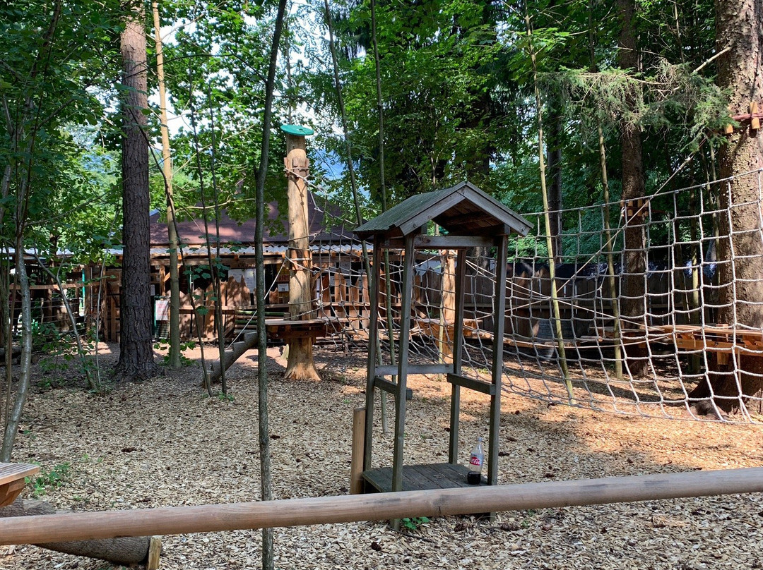 Kletterpark Waldbad Anif-安妮夫必去景点