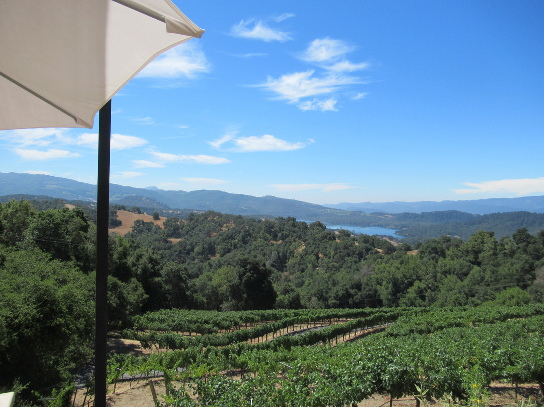 Amizetta Estate Winery-圣海伦娜必去景点