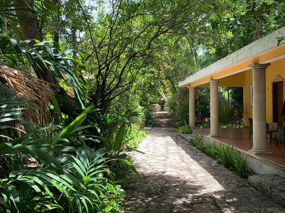 Hotel Itzamaltun主图