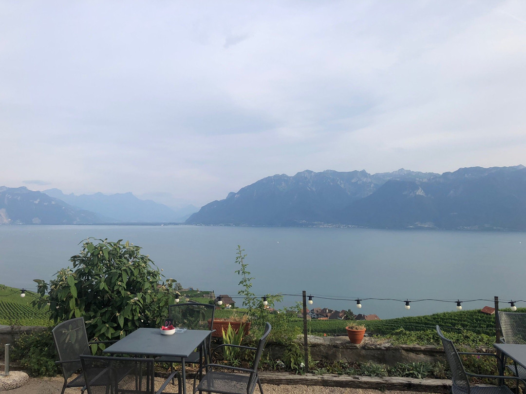 Domaine Bovy-谢布尔必去景点