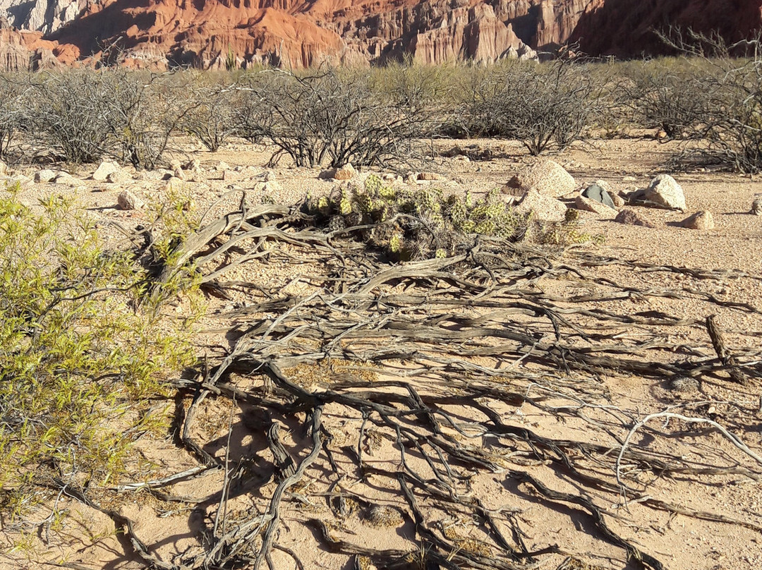 贡洽斯河峡谷-卡法亚特必去景点