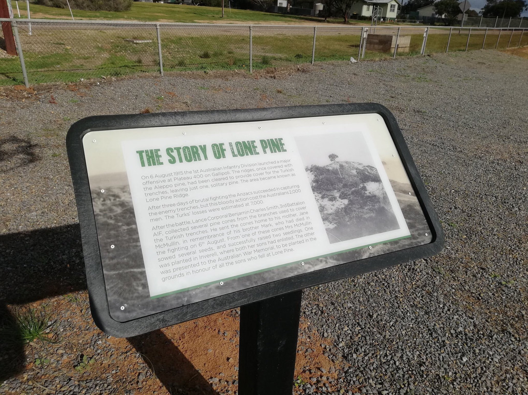 Memorial Oval-Karoonda必去景点