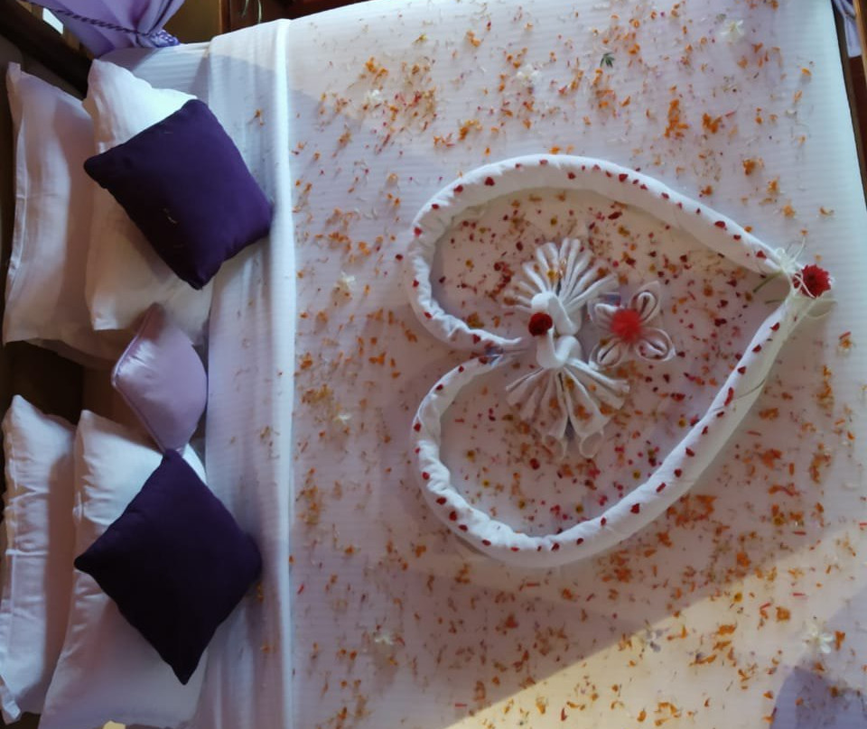 Banasura Island Resort主图