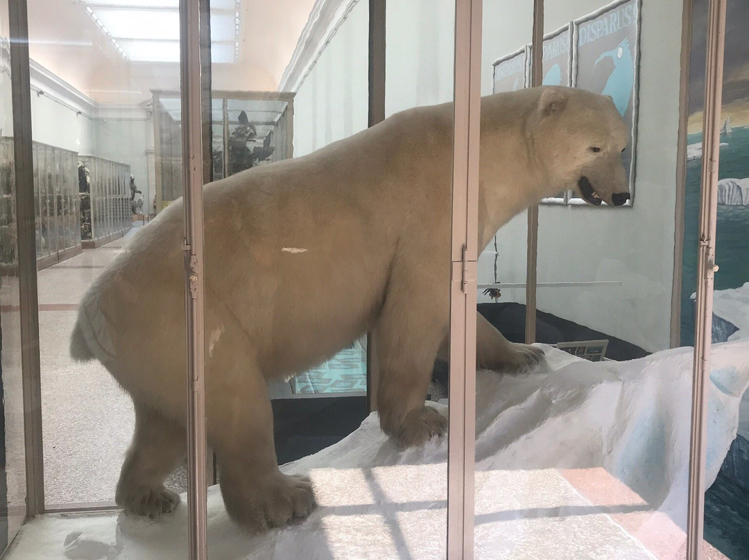Musée de Zoologie Lausanne景点图片