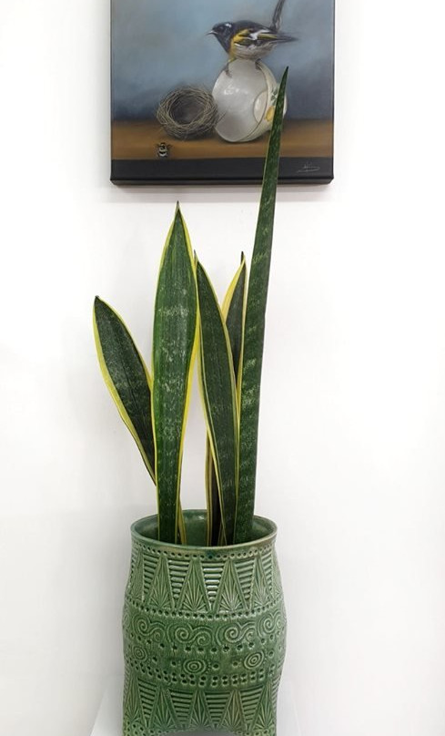 Deciduus & Santie-Tirau必去景点