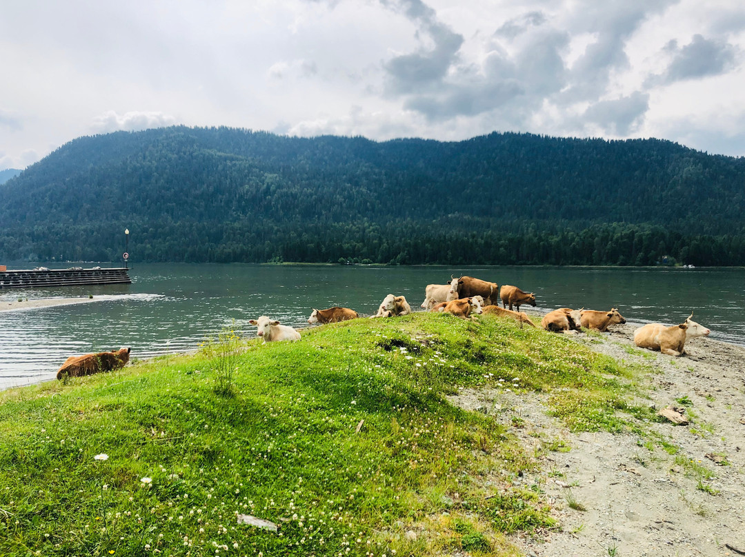 Chalet Teletskoye主图