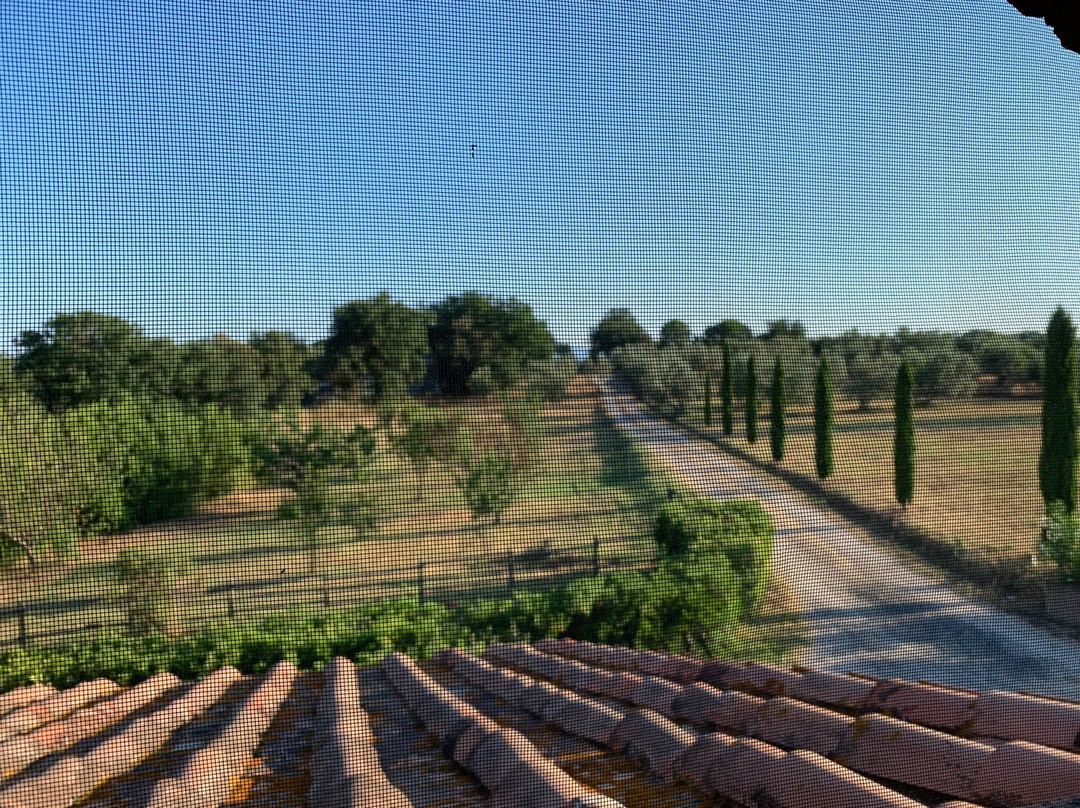 Agriturismo La Leccia主图