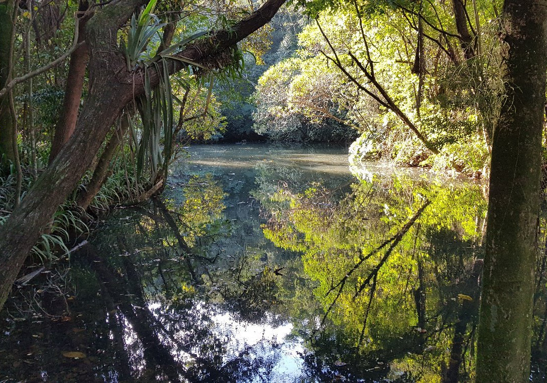 Alfredo Volpi Park-圣保罗必去景点