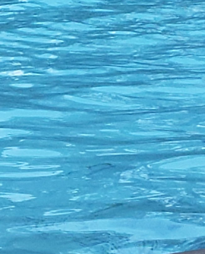 Booker T. Washington State Park-Harrison必去景点