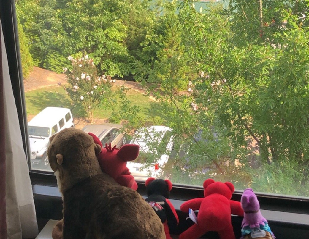 Hampton Inn & Suites Kodak Sevierville主图