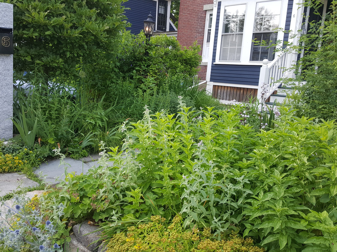 The Water Street Inn主图