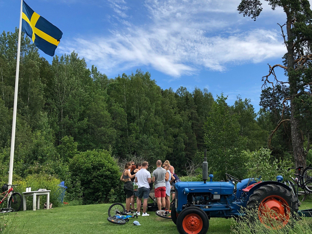 Uppsala Fotbollsgolf-乌普萨拉必去景点