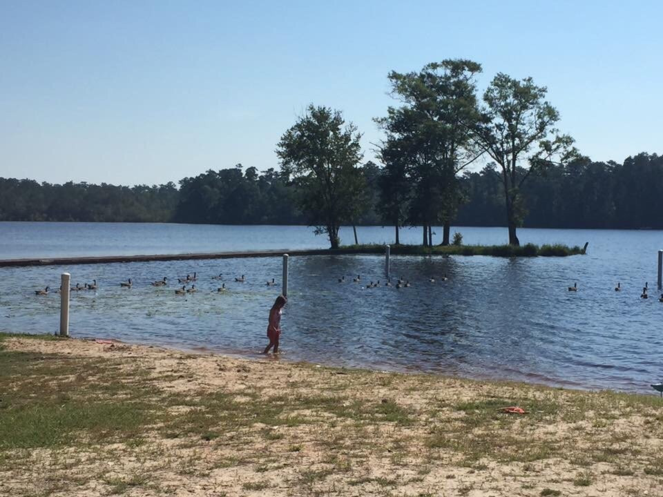 Paul B. Johnson State Park-哈蒂斯堡必去景点