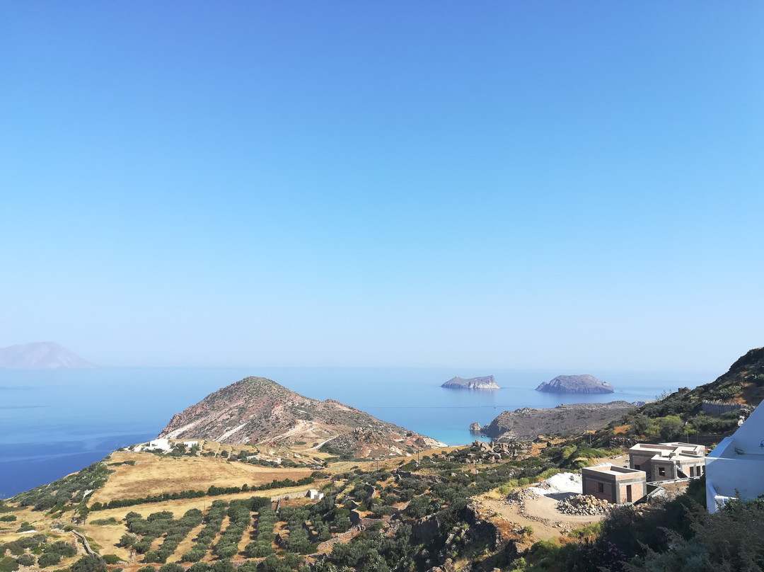 Halara Studios主图