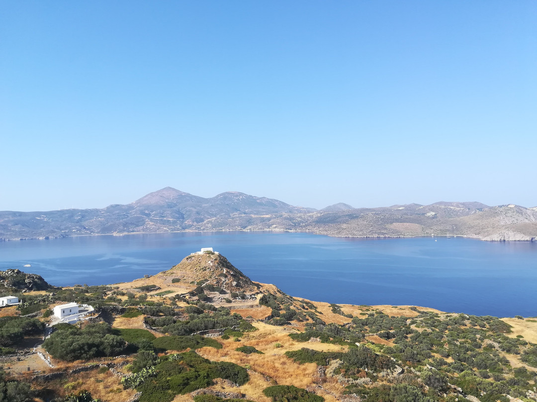 Halara Studios主图