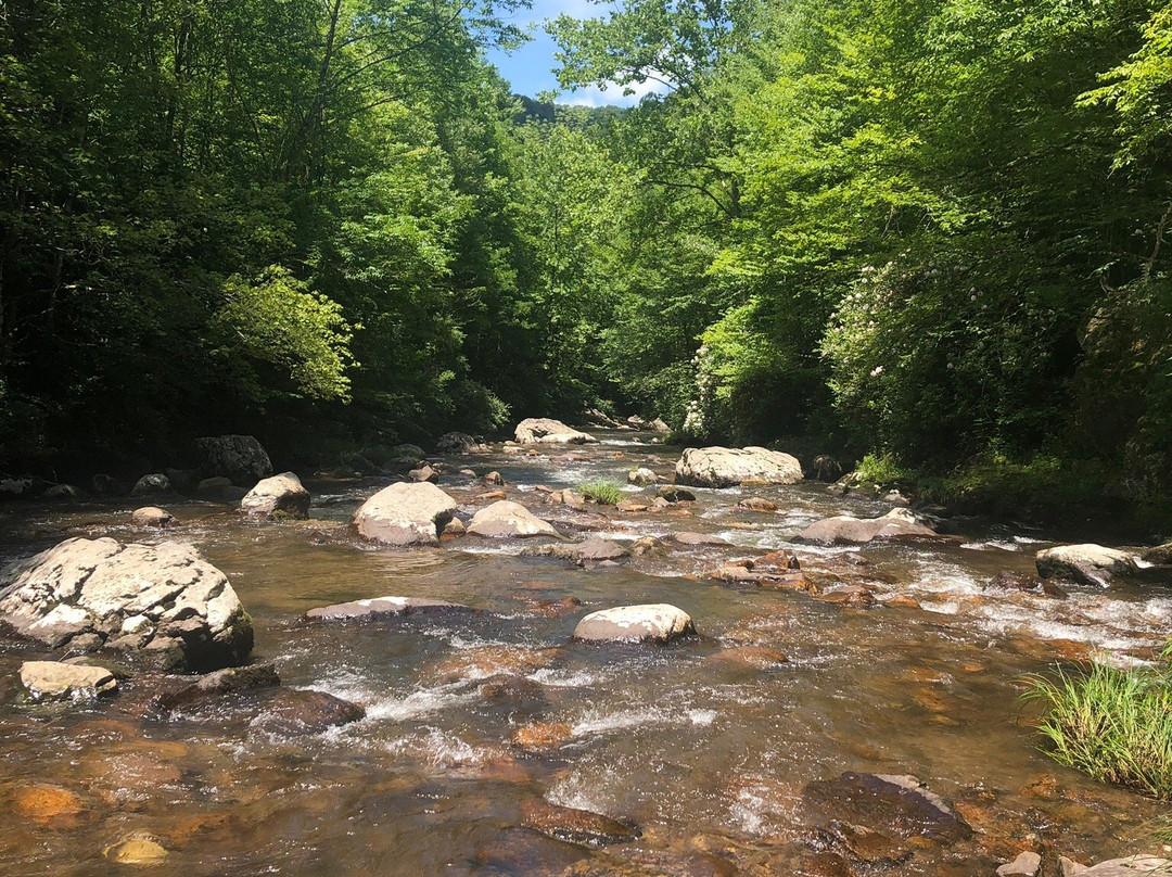 Blue Blaze Bicycle & Shuttle Service-Damascus必去景点