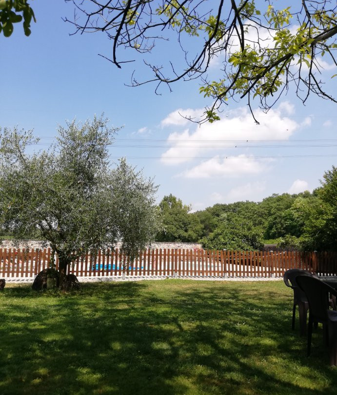 Agriturismo Palazzo di Monteoliveto主图