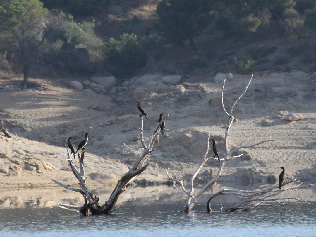 Tajo Natural Birdwatching & Fishing景点图片